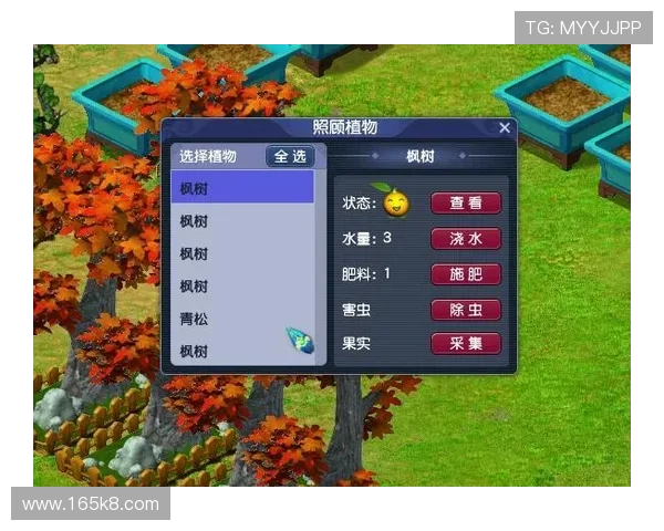 如何在凯发国际上获得更高的游戏收益